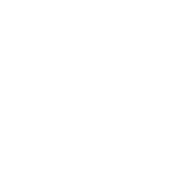 Vijaya International